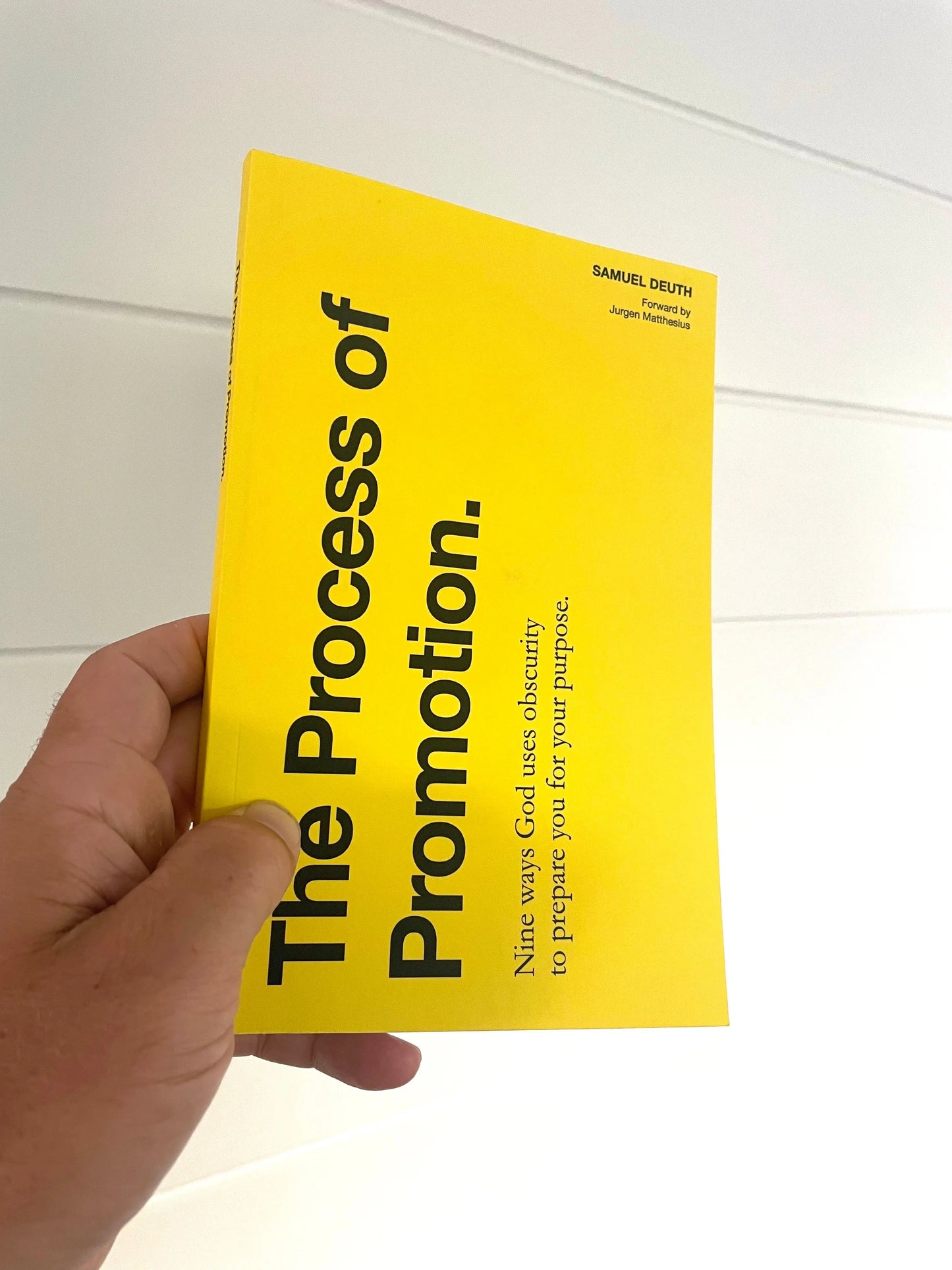 The Process of Promotion samueldeuth