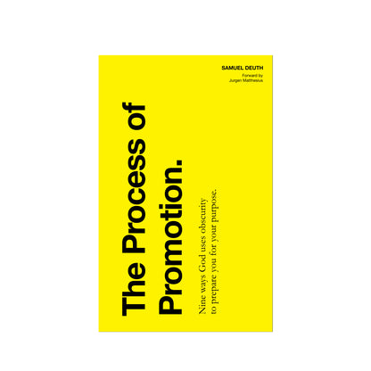 The Process of Promotion [BOOK]